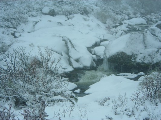 Img 1287388695 604