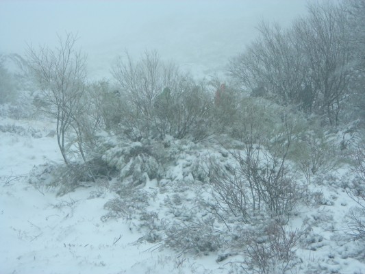 Img 1287388704 231