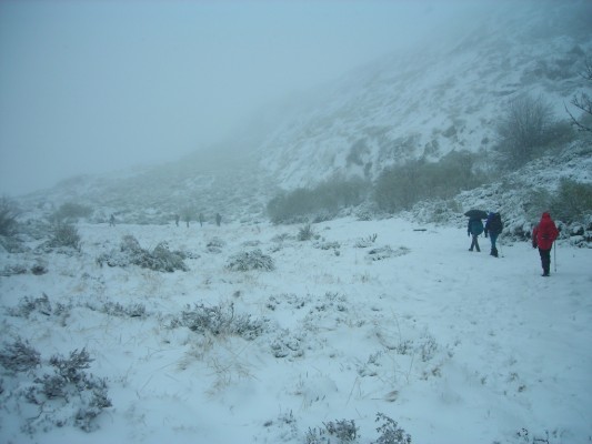 Img 1287388710 249