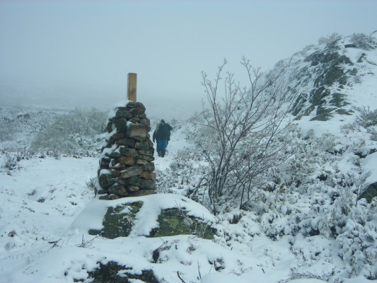 Img 1287388752 158