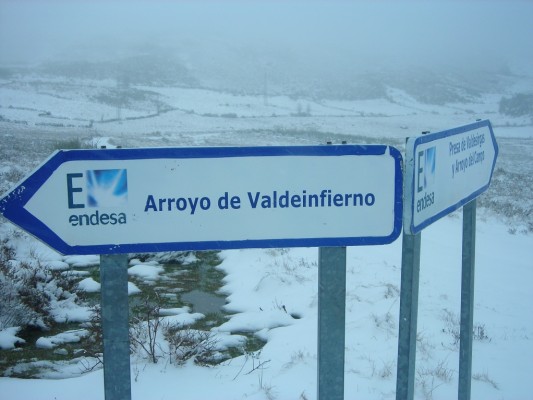 Img 1287388821 962