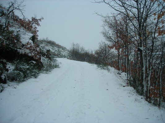 Img 1287388837 709