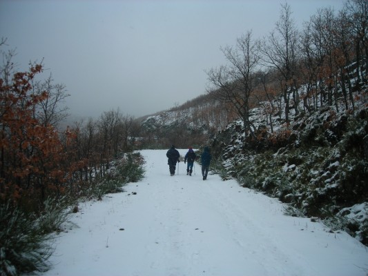 Img 1287388847 65