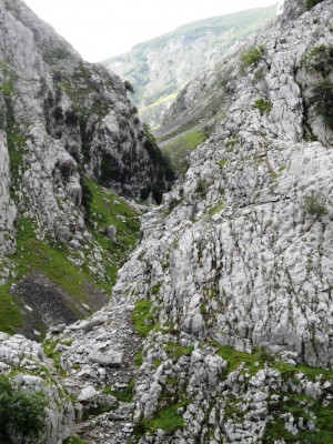 Img 1308514684 991
