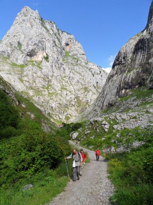 Img 1308514994 976