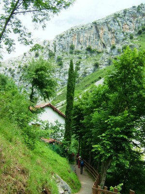 Img 1315083463 376