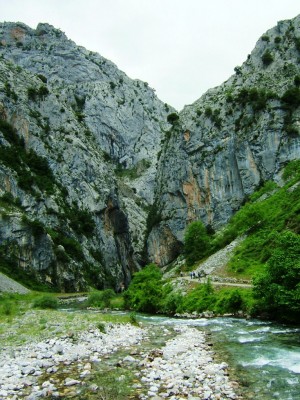 Img 1315083468 141