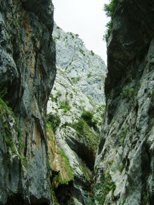 Img 1315083483 804
