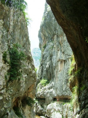 Img 1315083488 14