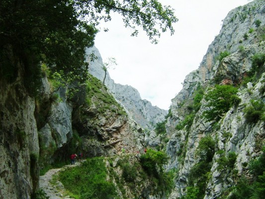 Img 1315083498 694