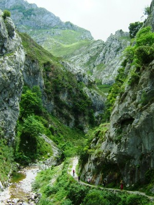 Img 1315083504 138