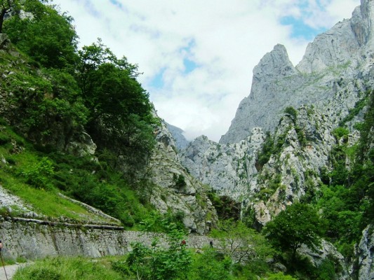 Img 1315083524 971