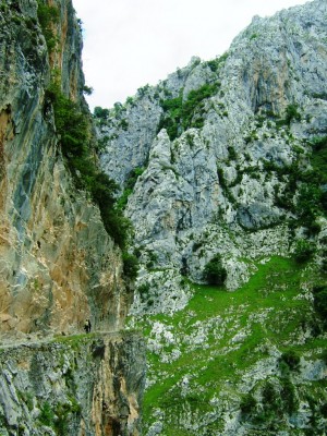 Img 1315083551 818