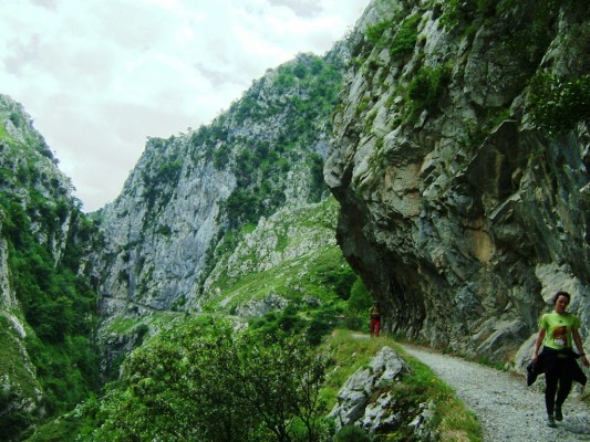 Img 1315083556 646