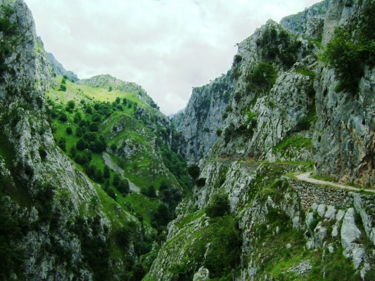 Img 1315083562 306