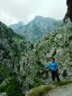 Img 1315083587 875