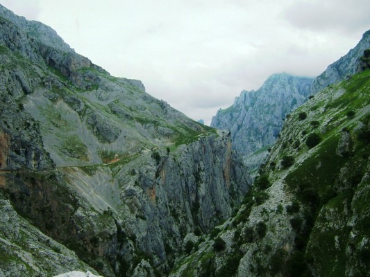 Img 1315083592 399