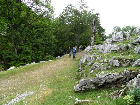 Img 1308515651 306