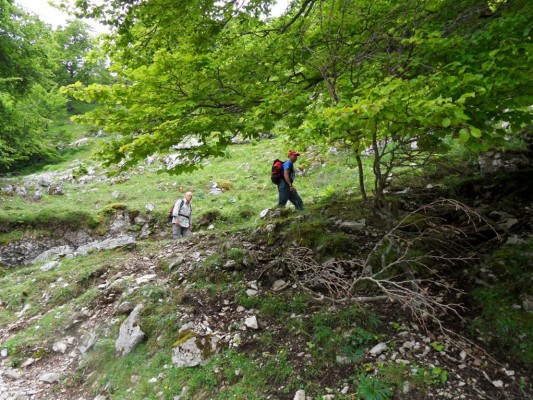 Img 1308515705 716