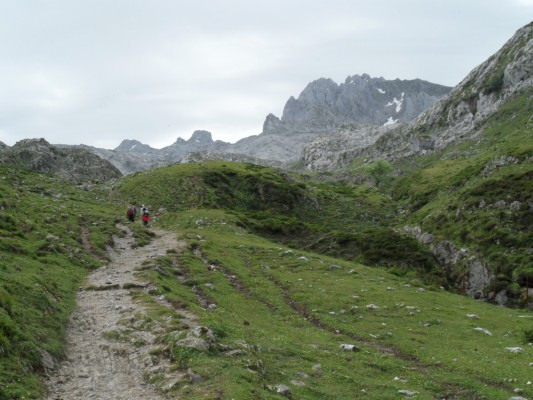 Img 1308515941 309