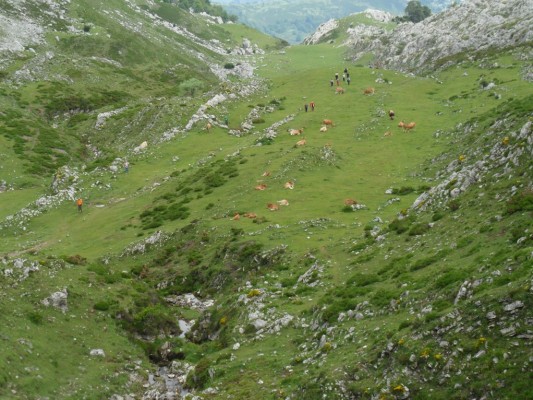 Img 1308515971 835