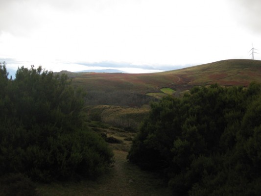 Img 1295188442 486