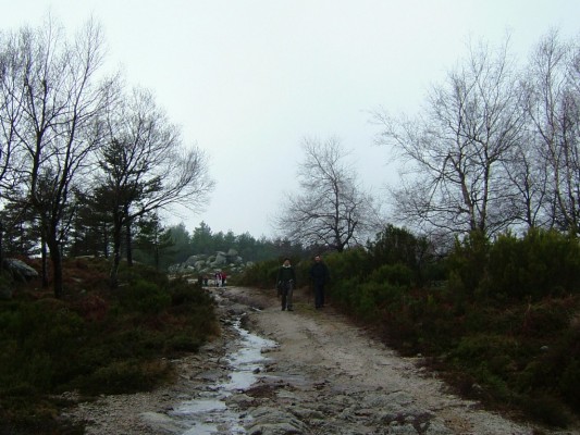 Img 1295729271 26