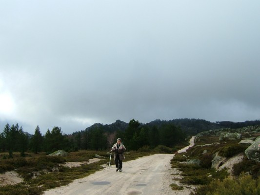 Img 1295729276 725