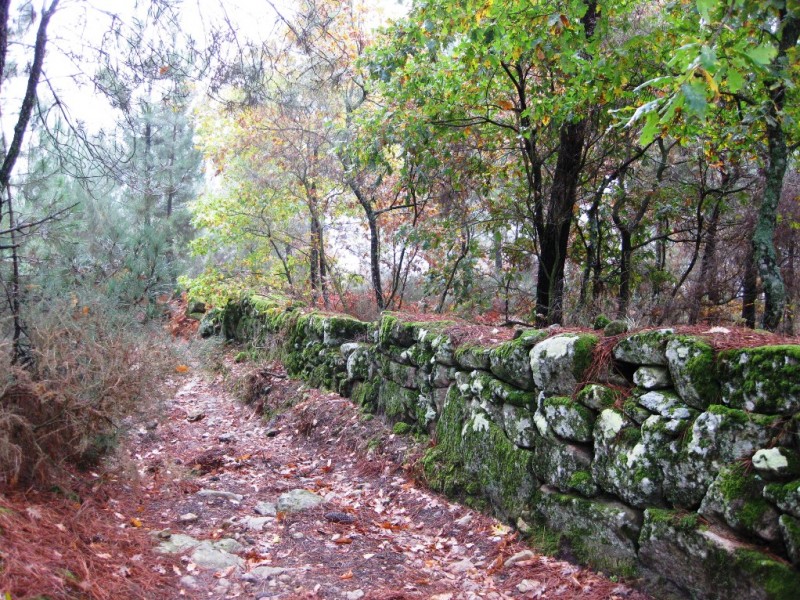 Img 1324591541 93