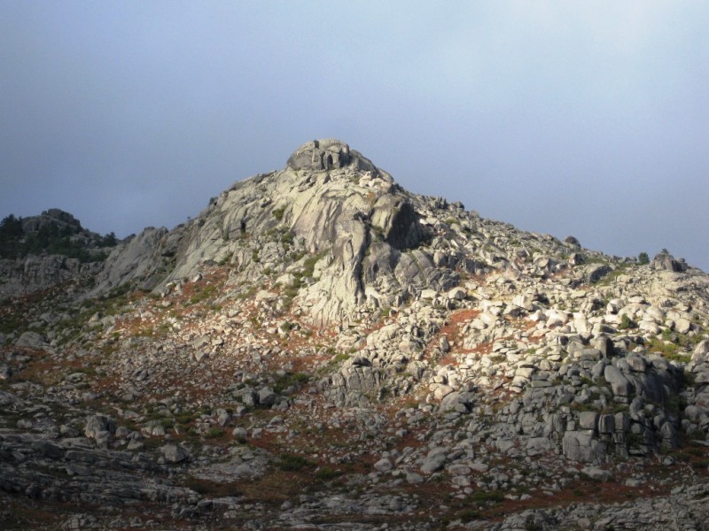 Img 1324591795 617