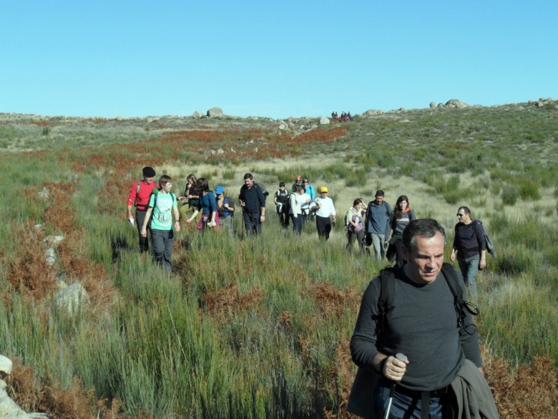 Img 1322833838 102