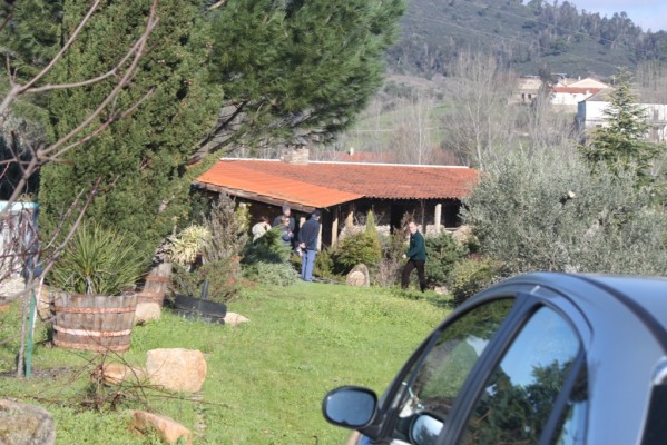 Img 1301087591 736