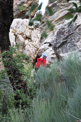Img 1301087669 41