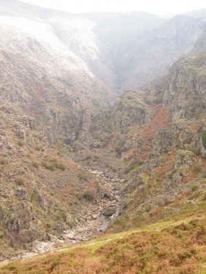 Img 1296684288 524
