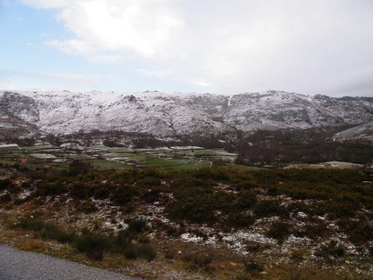 Img 1296684845 1