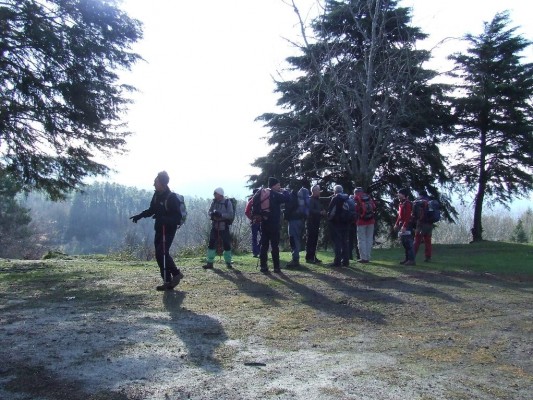 Img 1297523154 930