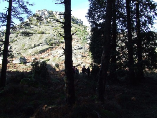 Img 1297523186 834