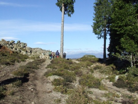 Img 1297523191 155
