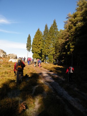 Img 1297523757 317