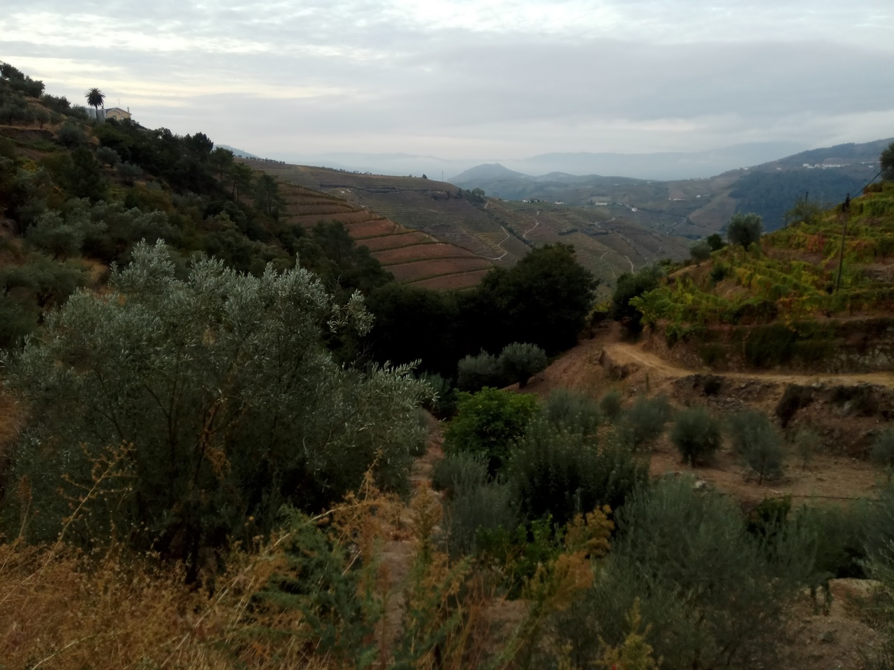 IMG 20170930 083901