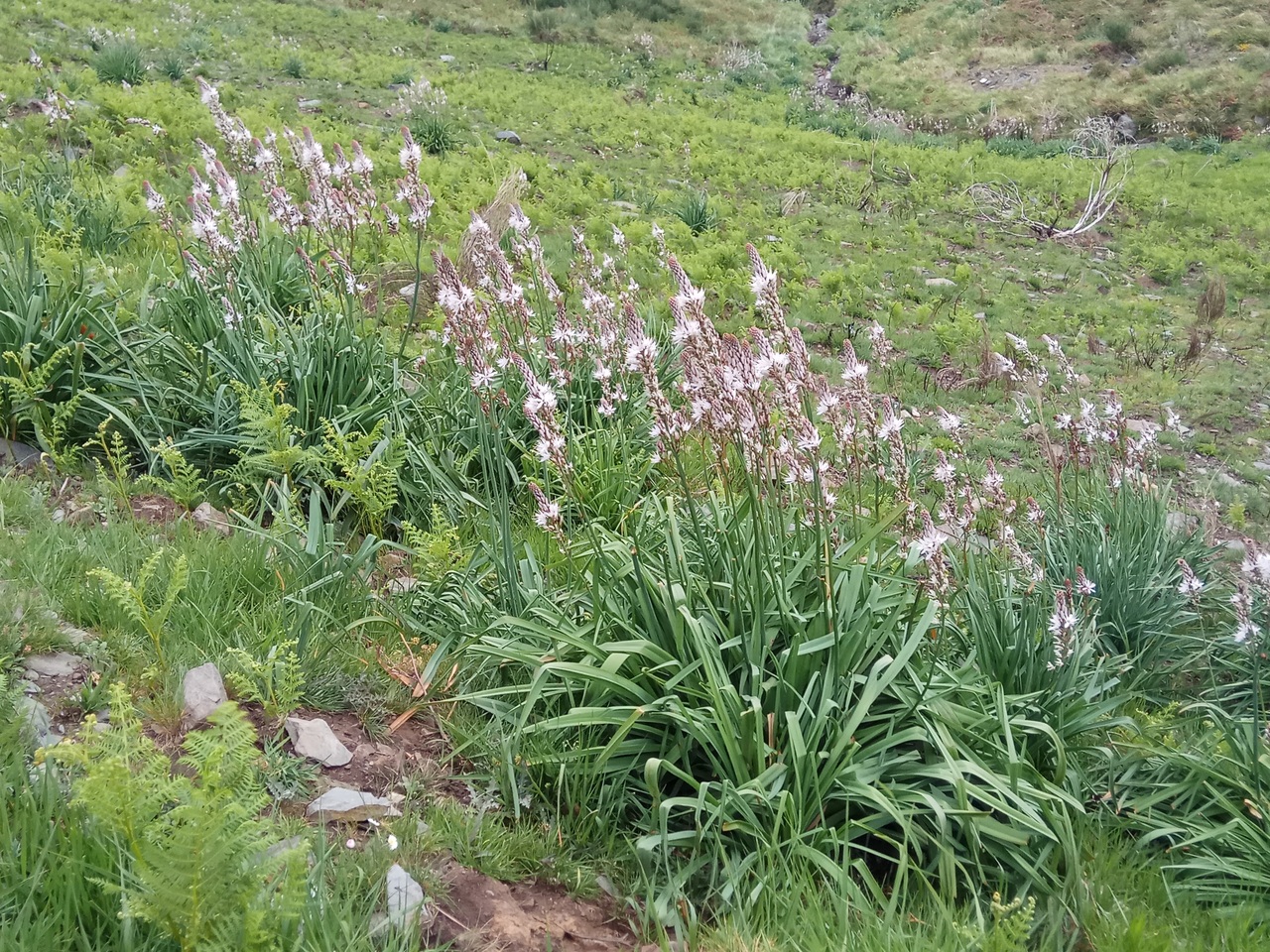 IMG 20170425 133713