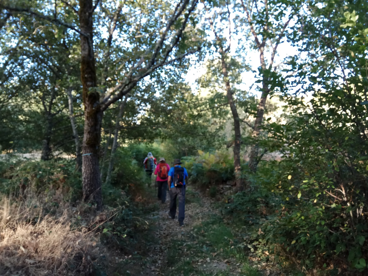 IMG 20171014 090953