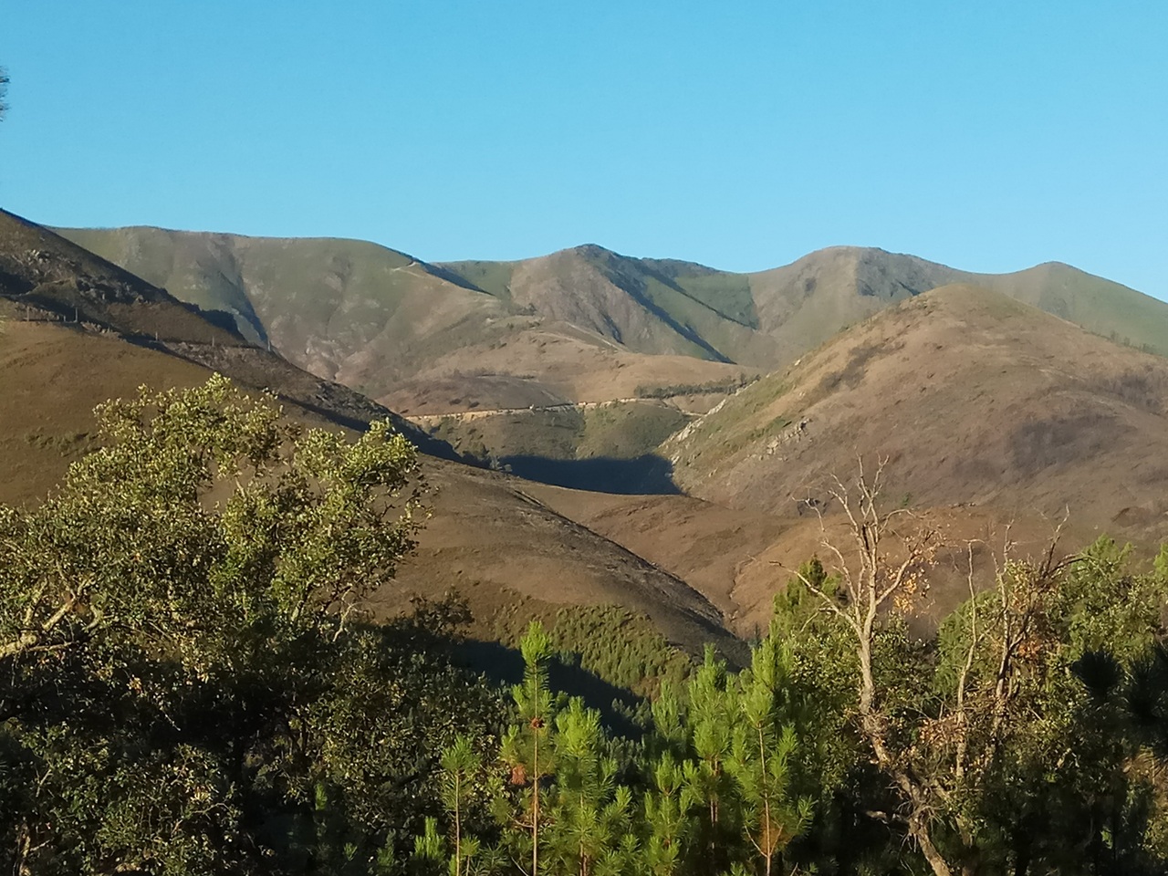 IMG 20171028 090653