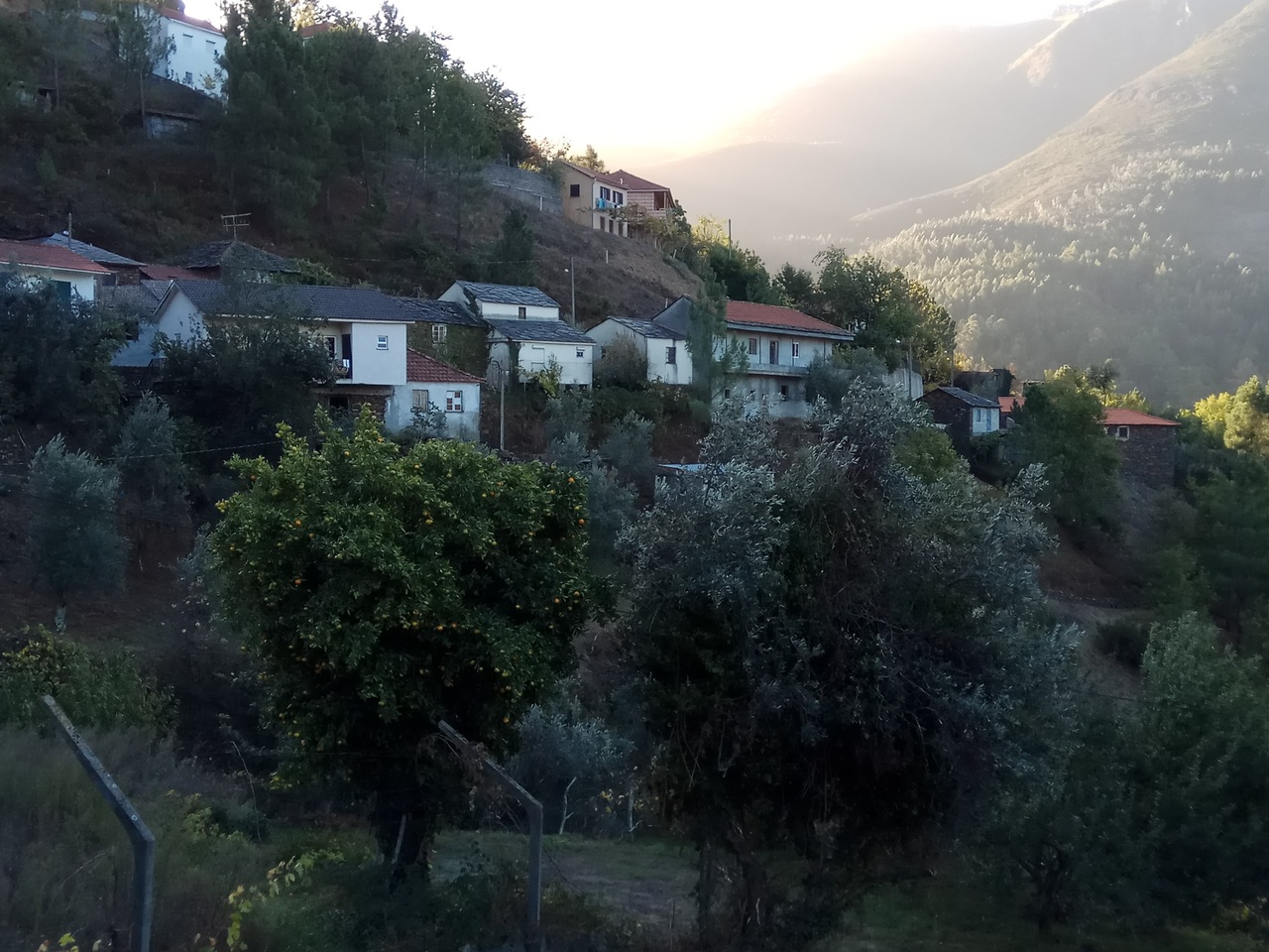 IMG 20171028 091757