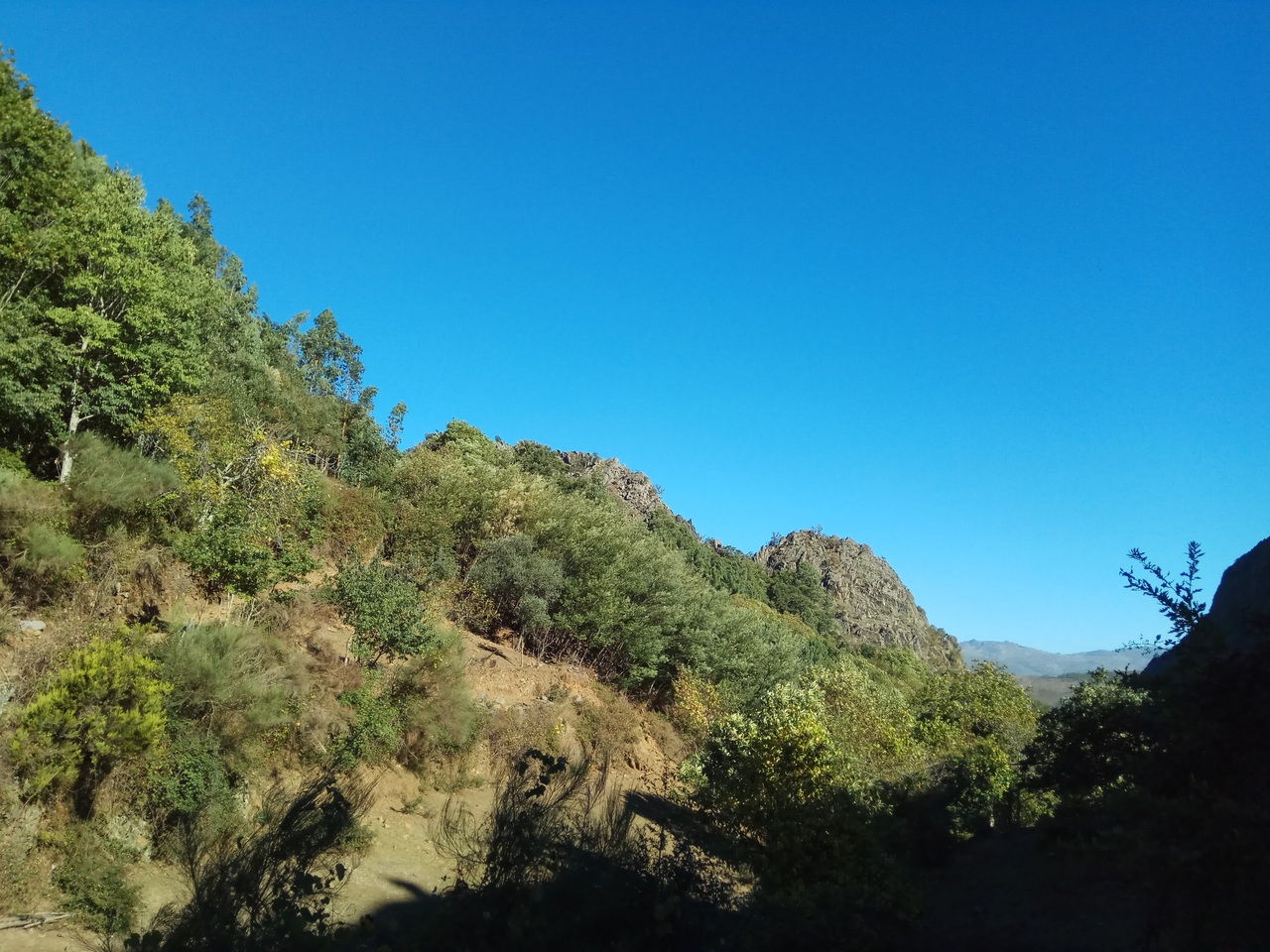 IMG 20171028 110748