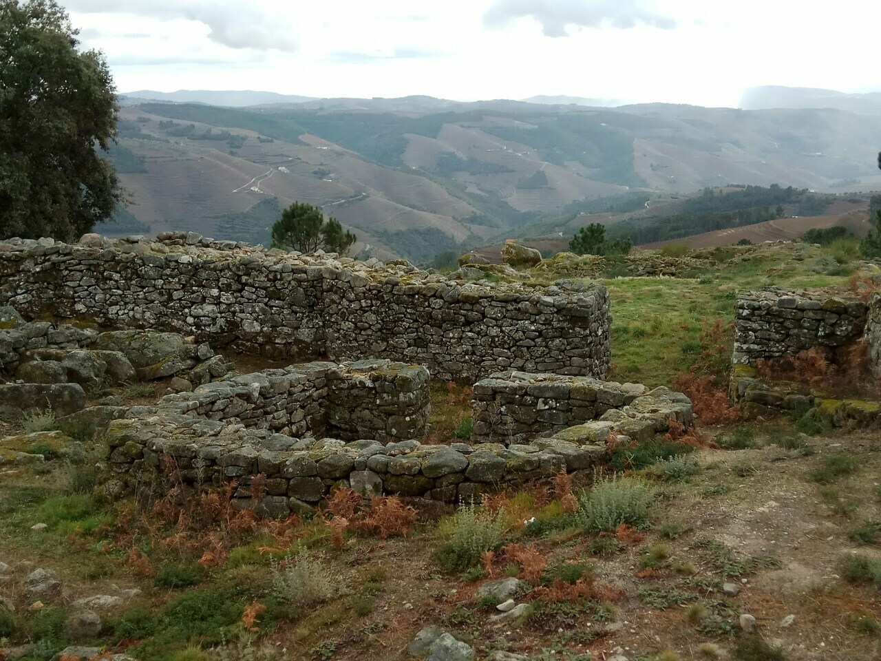 IMG 20171230 102136
