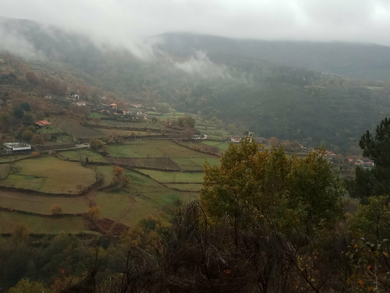 IMG 20171209 125130