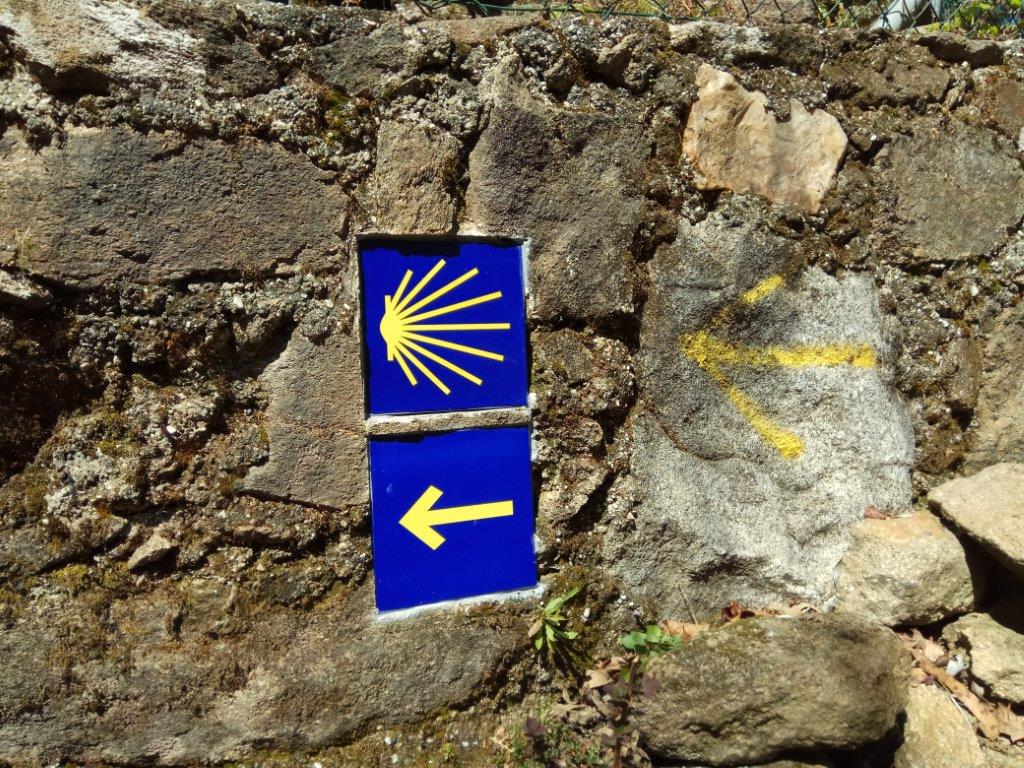 IMG 20170408 121159