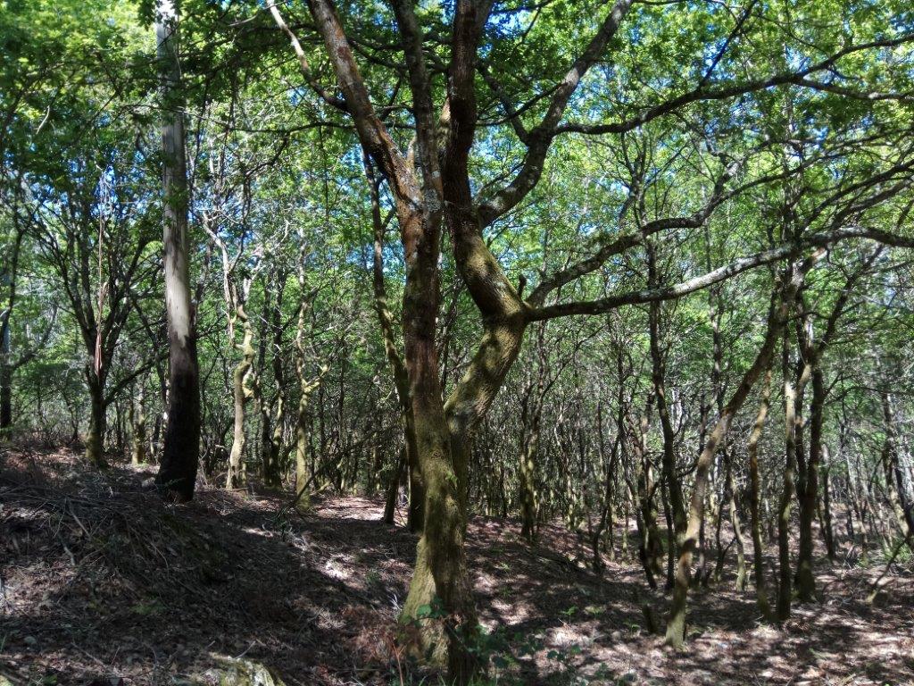 IMG 20170408 132717