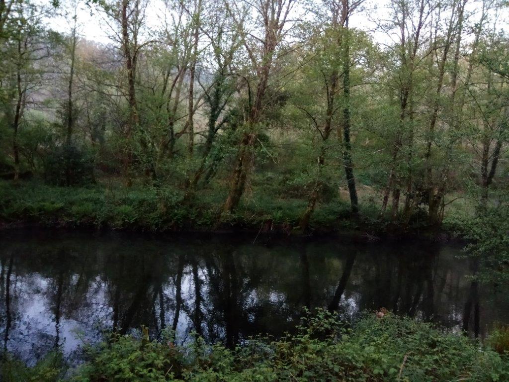 IMG 20170409 080356